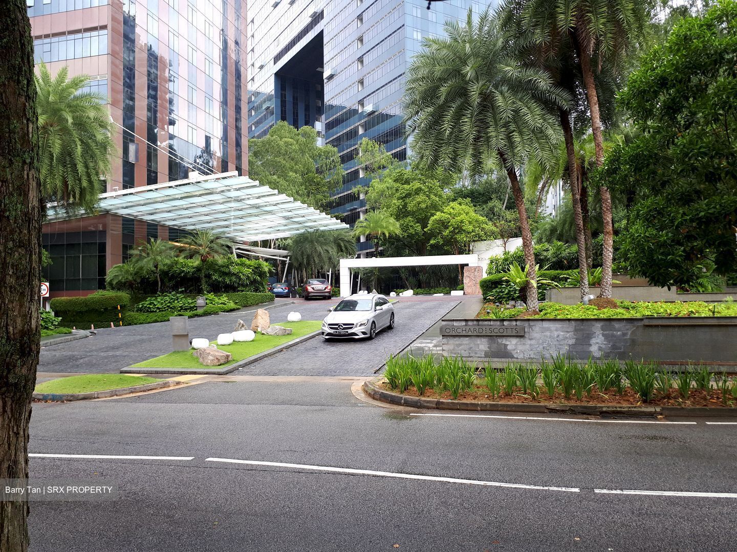 Orchard Scotts (D9), Condominium #519893761